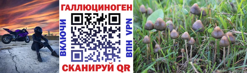Галлюциногенные грибы Psilocybine cubensis  MEGA как войти  Северодвинск  цены  