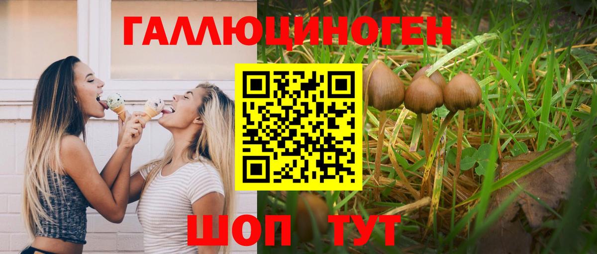 Северодвинск  Галлюциногенные грибы мицелий  Вход с VPN 