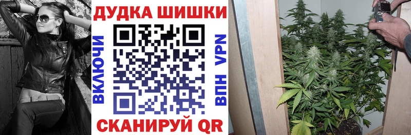 закладки Северодвинск Марихуана сатива